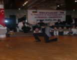 bolulular_yaz_senligi_2010__152_.jpg